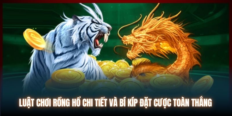 Bí kíp chơi rồng hổ từ cao thủ bet88